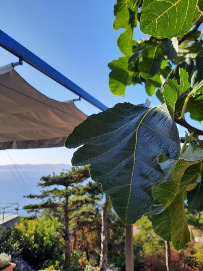 Nautica Leilighet Sveti Juraj Eksteriør bilde